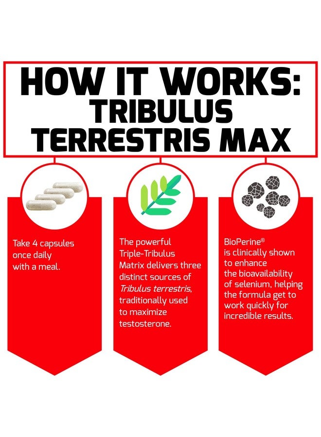 FORCE FACTOR Tribulus Terrestris Max for Men, Testosterone Booster and Male Vitality Supplement, for Superior Absorption, 2000mg, 120 Capsules - Image 3