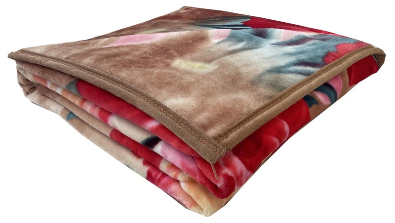 Stargold Blanket Premium Soft Single Ply Blanket Set Korea Quality - Image 1