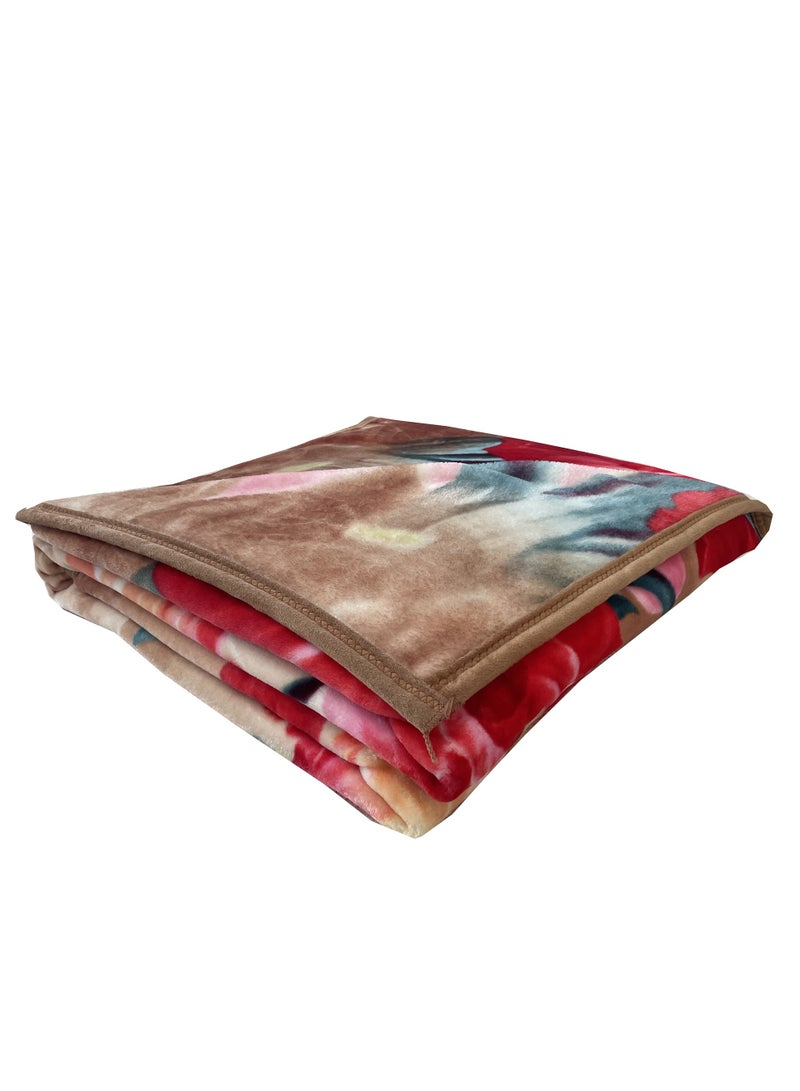 Stargold Blanket Premium Soft Single Ply Blanket Set Korea Quality  - Image 1