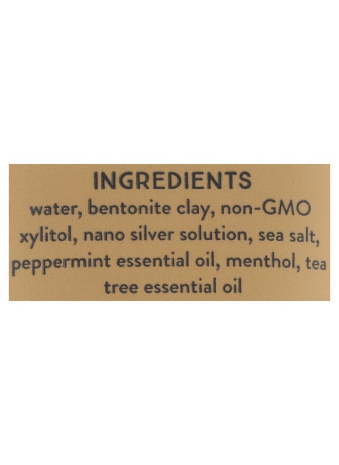 Redmond - Earthpaste With Silver, Natural Non-Fluoride Toothpaste, Peppermint, 4 Ounce (Pack Of 1) - Image 1