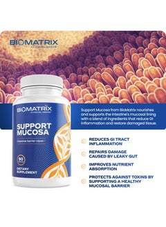 BioMatrix Leaky Gut Ibs Supplement W/Lglutamine Turmeric Root Cat’S Claw Msm Quercetin Sibo Friendly Support Mucosa ; 90 Caps  - Image 5