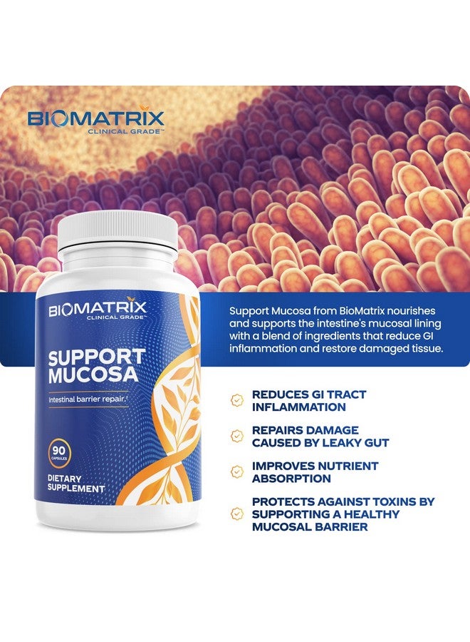 BioMatrix Leaky Gut Ibs Supplement W/Lglutamine Turmeric Root Cat’S Claw Msm Quercetin Sibo Friendly Support Mucosa ; 90 Caps - Image 5