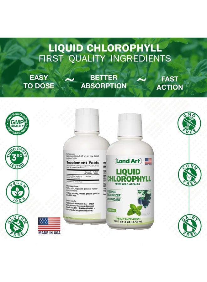 Land Art Liquid Chlorophyll Peppermint: Cold Extracted from Non-GMO Wild Alfalfa, Natural Liquid Chlorophyll - Antioxidant - Energy-Boosting Detox Supplement - Image 4