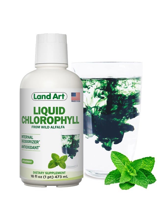 Land Art Liquid Chlorophyll Peppermint: Cold Extracted from Non-GMO Wild Alfalfa, Natural Liquid Chlorophyll - Antioxidant - Energy-Boosting Detox Supplement - Image 1