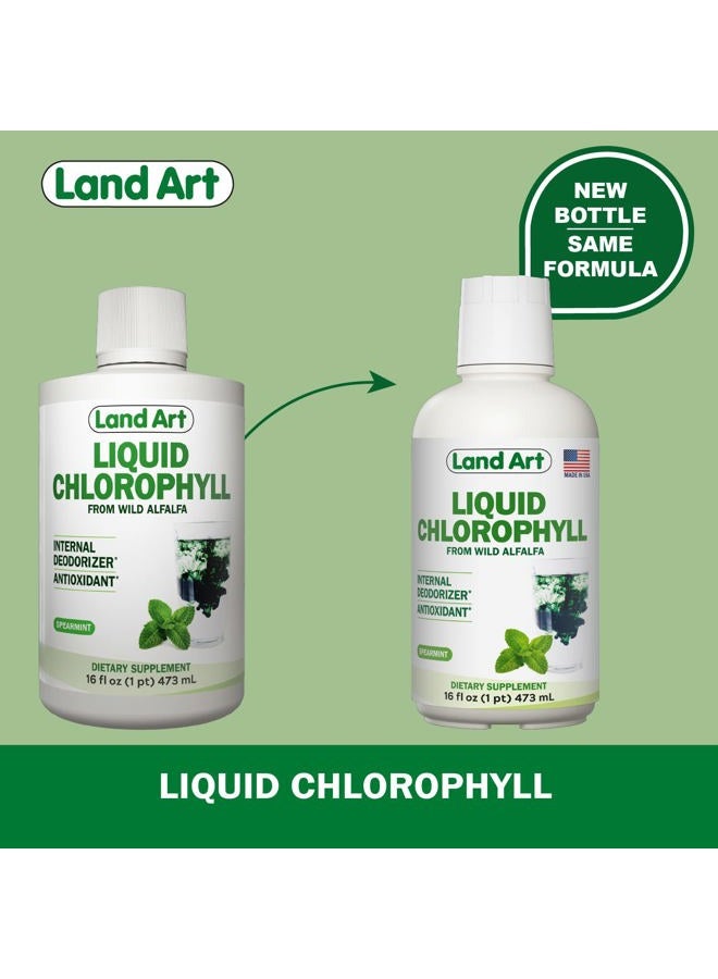 Land Art Liquid Chlorophyll Peppermint: Cold Extracted from Non-GMO Wild Alfalfa, Natural Liquid Chlorophyll - Antioxidant - Energy-Boosting Detox Supplement - Image 2