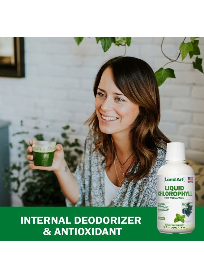 Land Art Liquid Chlorophyll Peppermint: Cold Extracted from Non-GMO Wild Alfalfa, Natural Liquid Chlorophyll - Antioxidant - Energy-Boosting Detox Supplement - Image 5