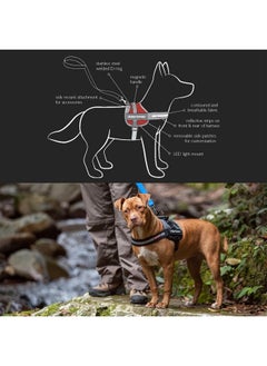 EzyDog Convert Trail-Ready Dog Harness (Corduroy, Large) - pzsku/ZCB780EE0612987A8C286Z/45/_/1737032148/01459eb5-6808-4586-ac31-43208b413c4f