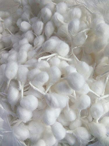 SSKR Diya Batti Cotton Wicks for Pooja White Pack of 300 - Image 3