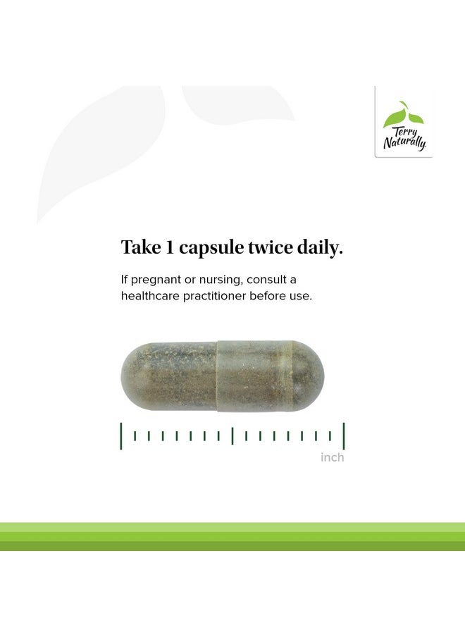 Terry Naturally - Terry Naturally Andrographis EP80 with Umckaloabo - 60 Capsules - Sinus & Upper Respiratory Support - Non-GMO, Vegan, Gluten Free - 60 Servings - Image 1