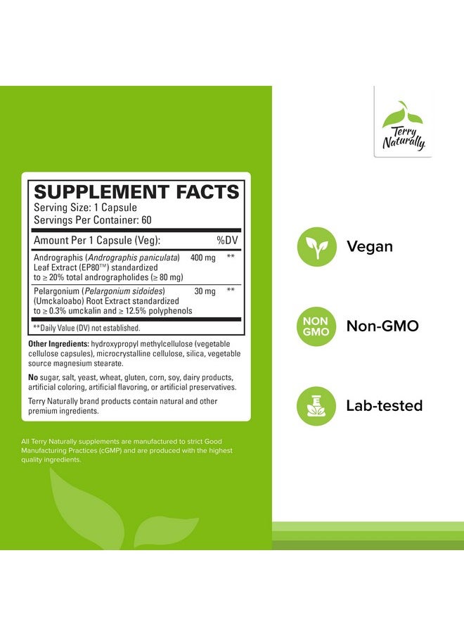 Terry Naturally - Terry Naturally Andrographis EP80 with Umckaloabo - 60 Capsules - Sinus & Upper Respiratory Support - Non-GMO, Vegan, Gluten Free - 60 Servings - Image 1