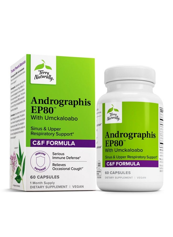 Terry Naturally - Terry Naturally Andrographis EP80 with Umckaloabo - 60 Capsules - Sinus & Upper Respiratory Support - Non-GMO, Vegan, Gluten Free - 60 Servings - Image 1