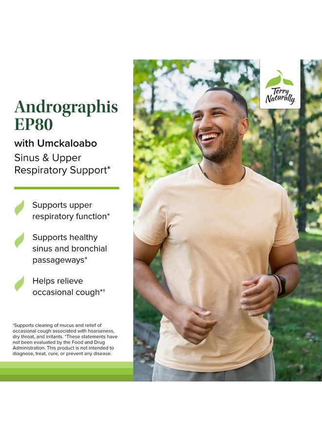 Terry Naturally - Terry Naturally Andrographis EP80 with Umckaloabo - 60 Capsules - Sinus & Upper Respiratory Support - Non-GMO, Vegan, Gluten Free - 60 Servings - Image 1