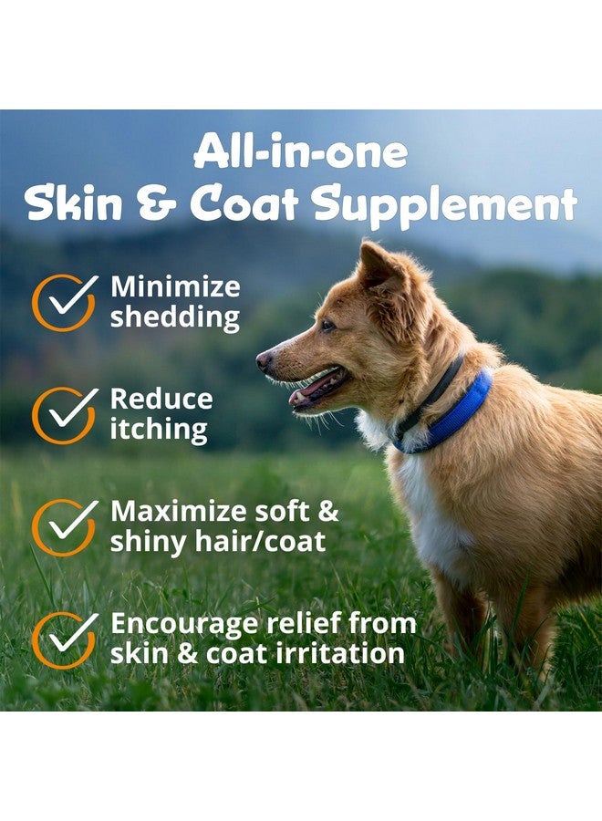 كالا هيلث بيك تيلز ديرماتريكس، 90 قرصًا للكلاب، يدعم صحة البشرة ولمعانها ويقلل من تساقط الشعر المفرط، يحتوي على ميثيل سلفونيل ميثان وزيت السمك وأحماض أوميجا 3 و6 الدهنية الأساسية - Image 4