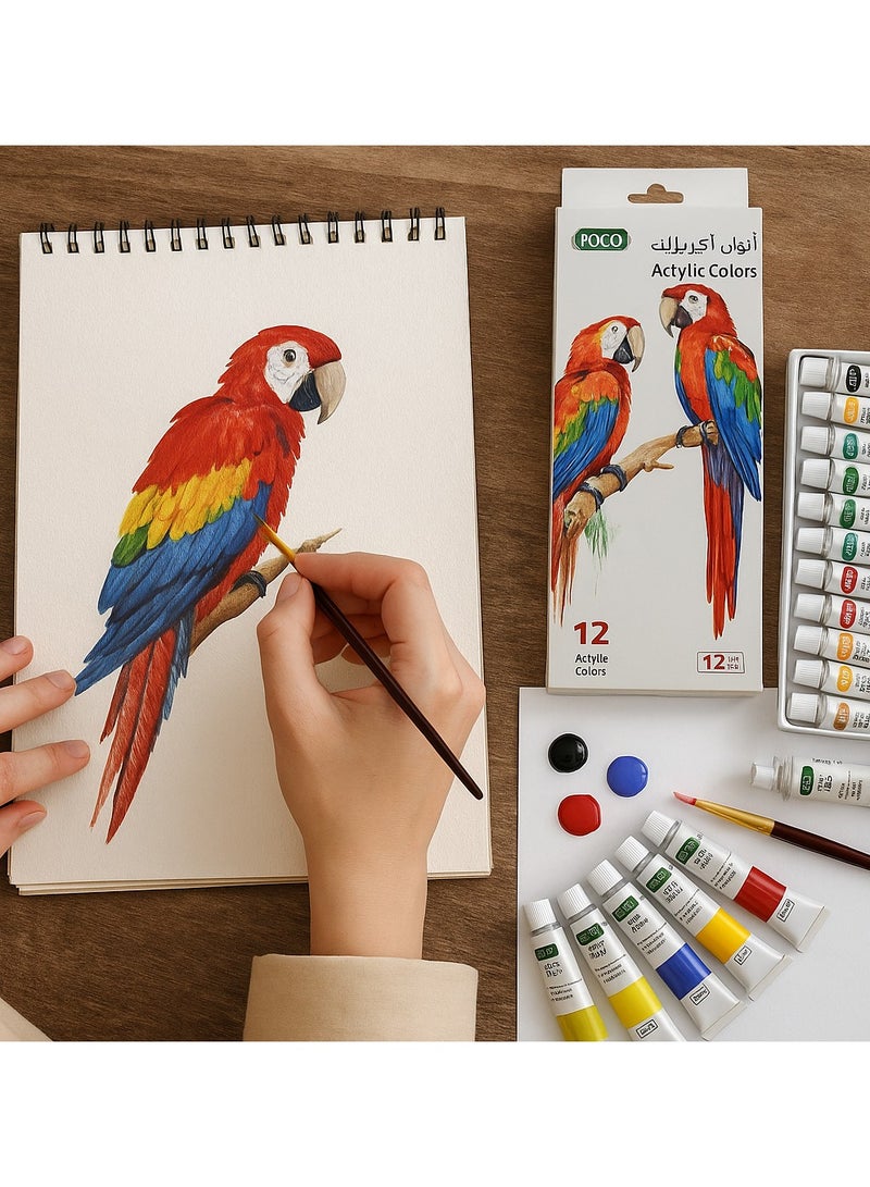 ROCO 12-Piece Acrylic Color Paint Set, 12ml Tubes – Vibrant Multi Colors for Art and Craft - Image 3