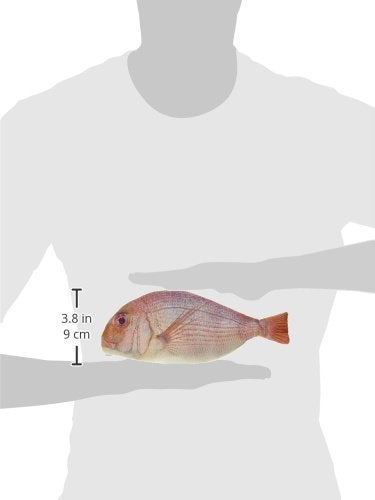 Wrapables® Novelty Fish Style Pencil Case, Red - Image 3