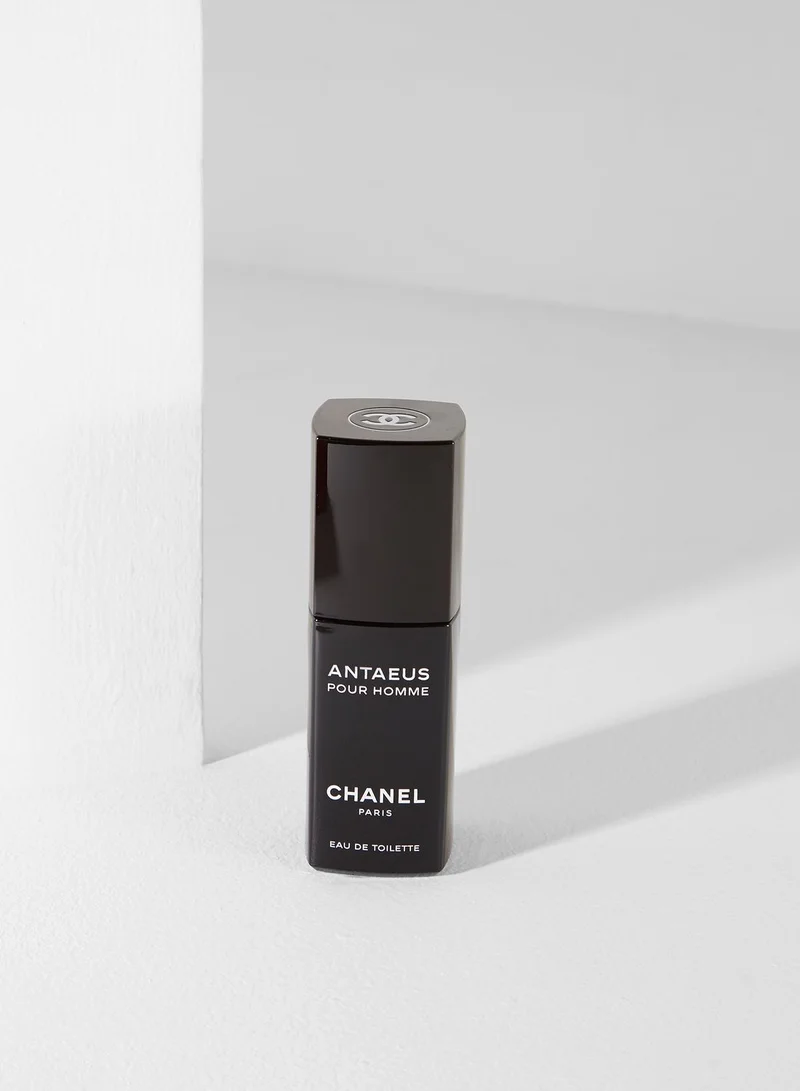 CHANEL Antaeus For Male 100Ml Edt