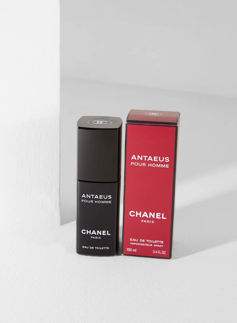 CHANEL Antaeus For Male 100Ml Edt
