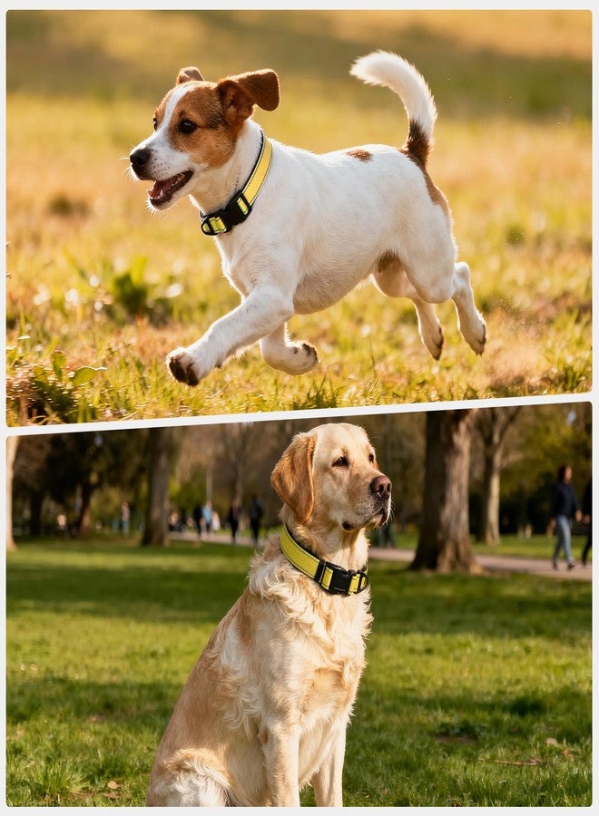 Glohoop Reflective Dog Collar with Quick Release Buckle - Metal Ring - Adjustable Soft Neoprene Padded Basic Dog Collar for Small Medium Large Dogs (Yellow, Medium :Width 1",Neck 13.8-19.6") - Image 2