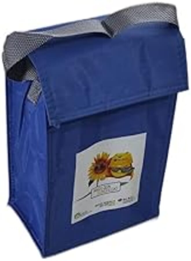 Lunch Bag Insulated Lunch Bag, Thermal Carry Bag for Kids, Portable Bag for Club and School - Easy and Practical Scotch Shutter - Light Blue
