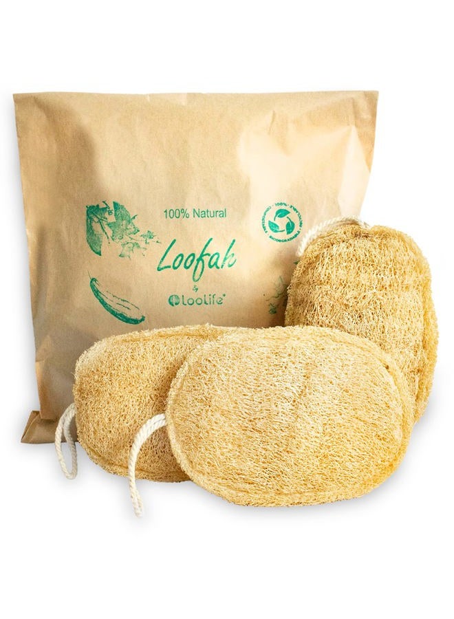 LooLife 100% Natural Loofah Exfoliating Sponge (3 Pack) - Loofah Body Scrubber - Loofah Sponge - Organic Loofah Pad - Exfoliating Body Sponge - Biodegradable Loofah - Bath Luffa Sponges - Exfoliating Loofah - Image 1