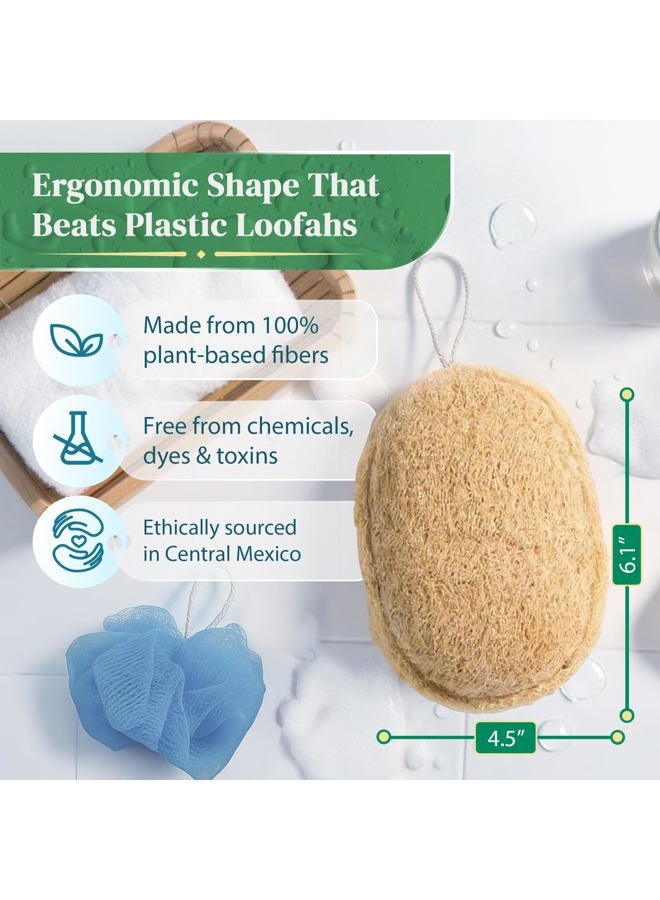 LooLife 100% Natural Loofah Exfoliating Sponge (3 Pack) - Loofah Body Scrubber - Loofah Sponge - Organic Loofah Pad - Exfoliating Body Sponge - Biodegradable Loofah - Bath Luffa Sponges - Exfoliating Loofah - Image 2