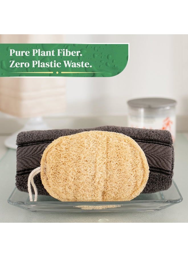 LooLife 100% Natural Loofah Exfoliating Sponge (3 Pack) - Loofah Body Scrubber - Loofah Sponge - Organic Loofah Pad - Exfoliating Body Sponge - Biodegradable Loofah - Bath Luffa Sponges - Exfoliating Loofah - Image 5