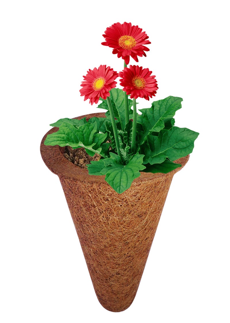 COIR GARDEN - Conical Liner 5" (Pack of 5) - Image 3