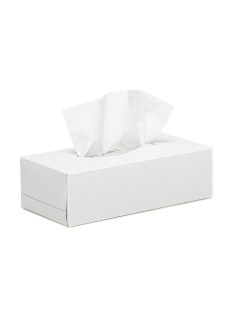 Ambiente Facial Tissues Box 200 sheet x 30 PACK - Image 3
