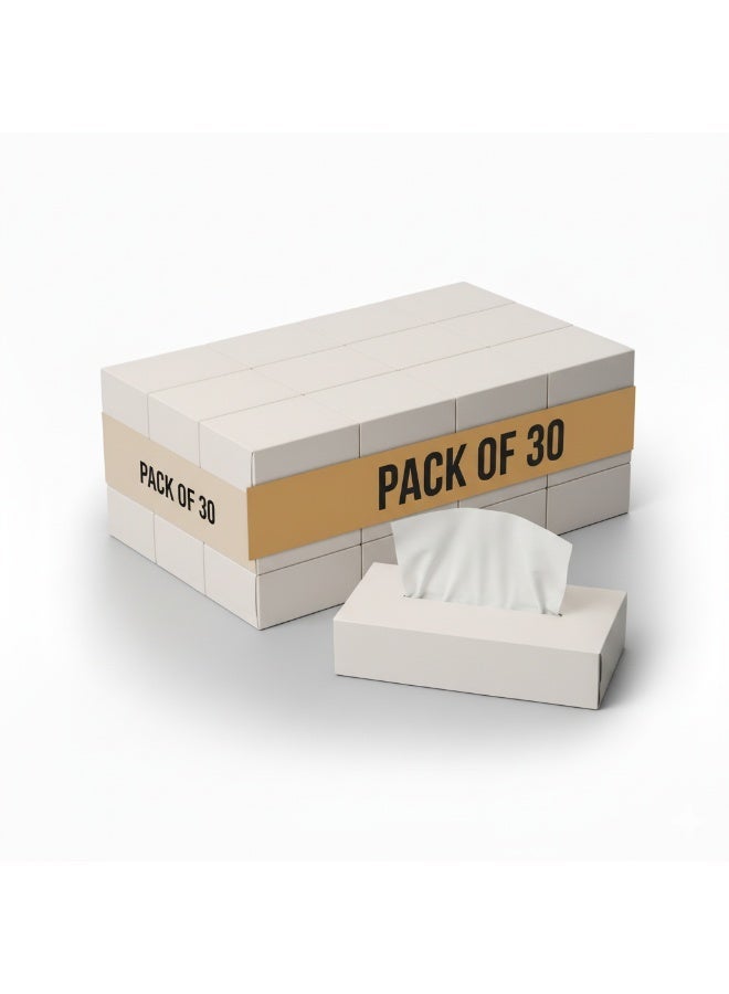 Ambiente Facial Tissues Box 200 sheet x 30 PACK - Image 1