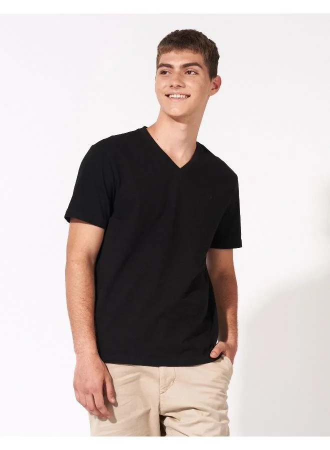 American Eagle AE Super Soft Icon V-Neck T-Shirt