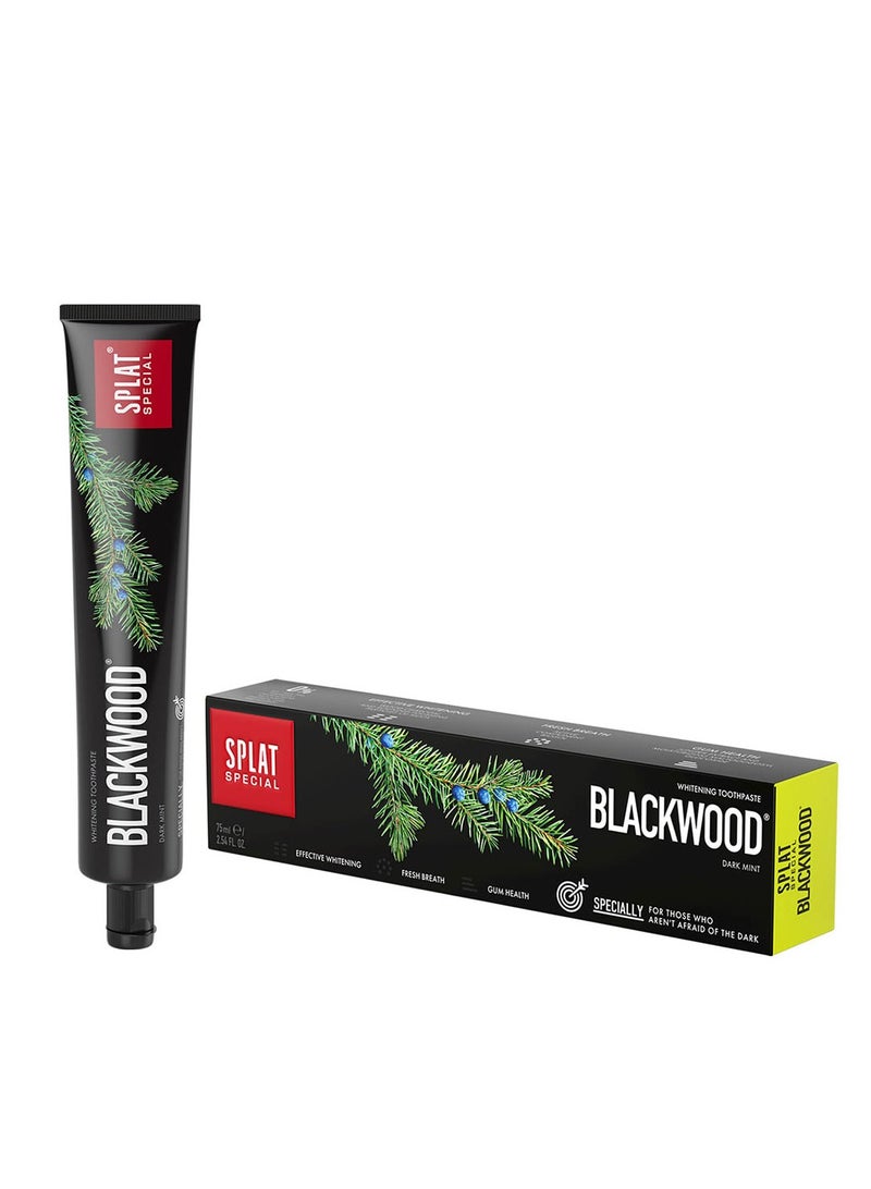 SPLAT Blackwood Powerful Charcoal Whitening Toothpaste - Image 2