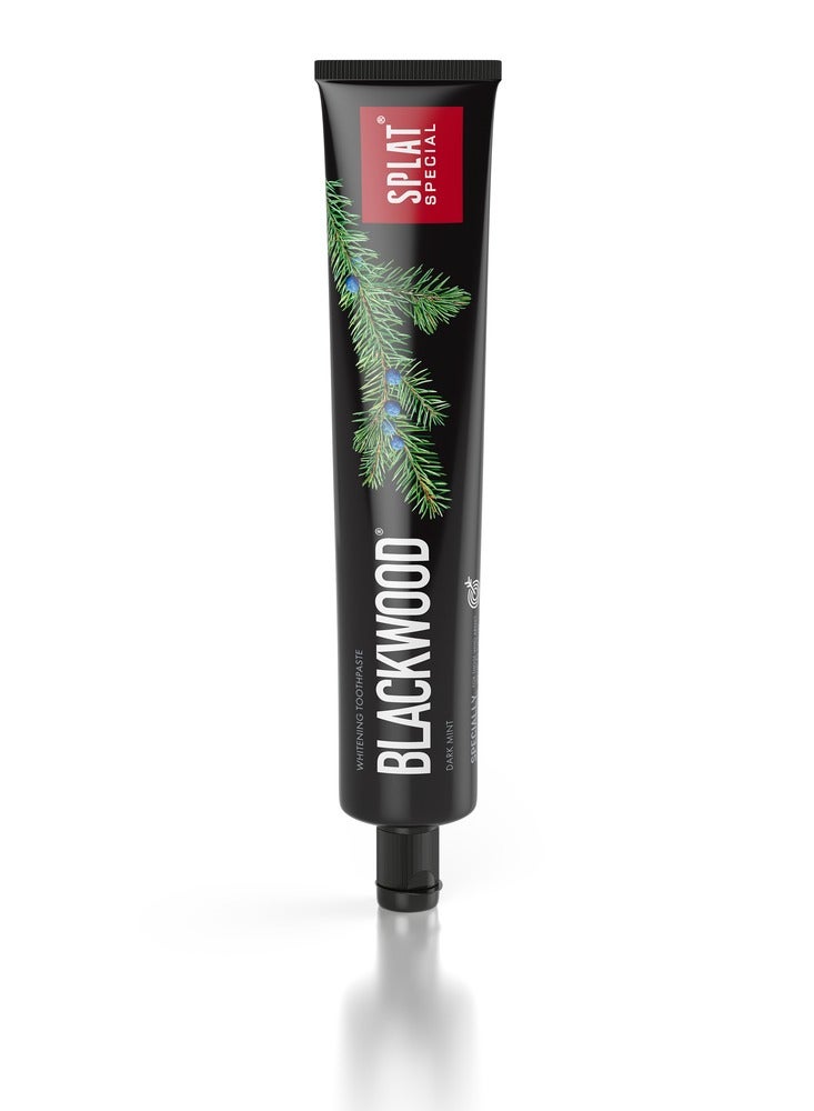 SPLAT Blackwood Powerful Charcoal Whitening Toothpaste - Image 1