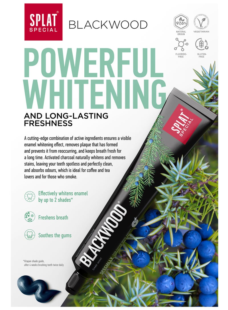 SPLAT Blackwood Powerful Charcoal Whitening Toothpaste - Image 3