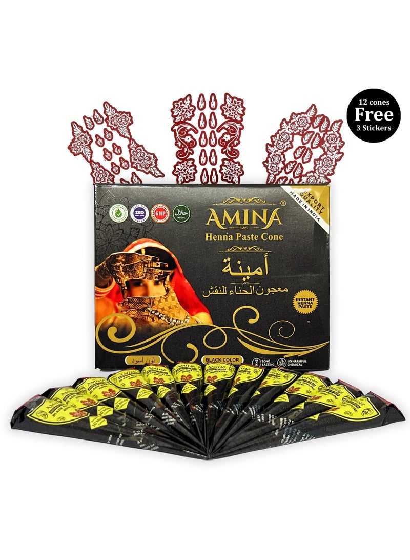 أمينا حناء أمينة سريعة التحضير، مخروط حناء | مع مجموعة مجانية من 3 ملصقات/استنسلات كاملة | بدون مواد كيميائية | يدوم طويلاً | عبوة من 12 قطعة، كل منها 25 غرامًا | لون أسود - Image 1
