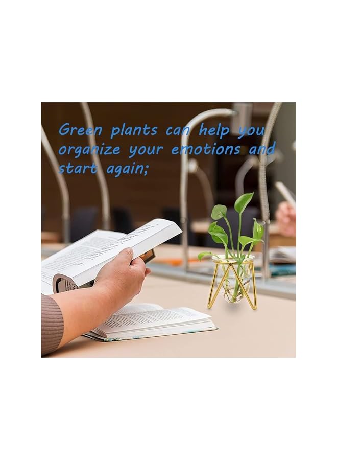 The Bros مزهرية زجاجية مع قاعدة معدنية، مزهرية زهور هندسية ذهبية، مزهرية صغيرة لحفلات الزفاف، مركز طاولة، غرفة المعيشة، حاويات نباتية لتكاثر الزراعة المائية، محطة تكاثر حاوية التيراريوم - Image 4