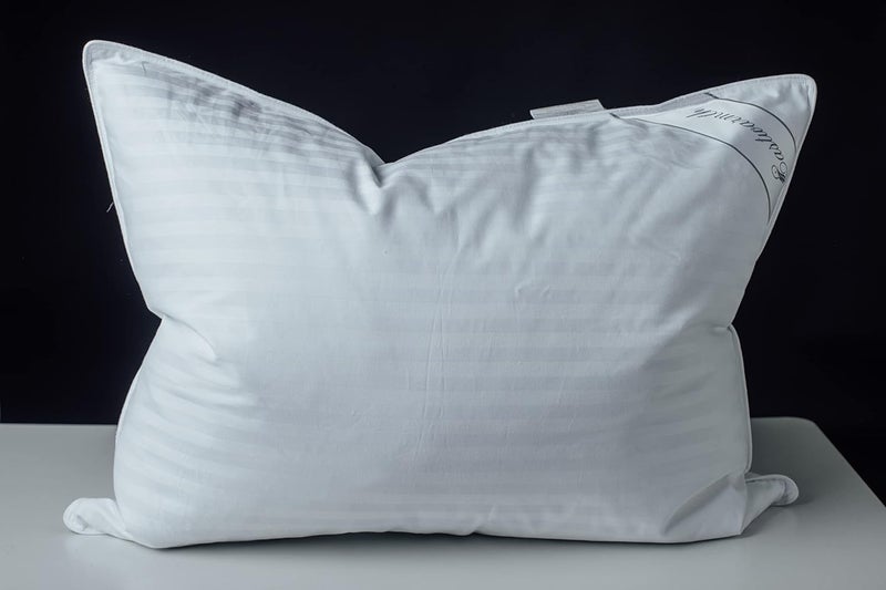 Eastwarmth وسادة ناعمة من زغب وريش الإوز، وسادة واحدة، ��طن 100%، وسادة سرير داعمة، لون أبيض مخطط، مقاس قياسي 20x26 بوصة. - Image 1