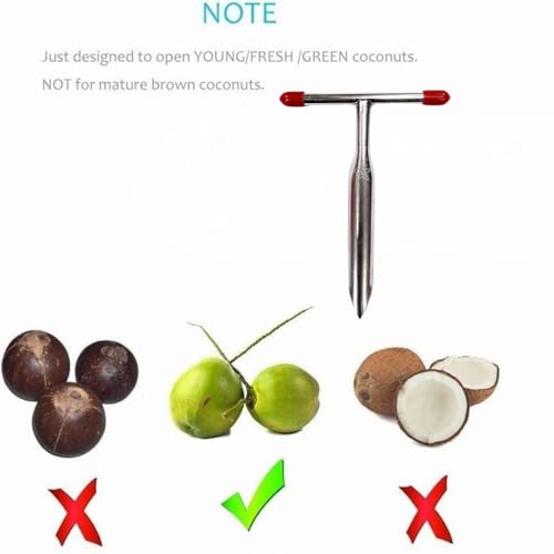 Oicia Coconut Opener Tool - Stainless Steel Coconut Hole Tool Coco Nut Bottle Opener, Coconut Knife Tool for Young Green Fresh Coconut Water, Open in Seconds Super Safe Easy and Fast.(Pack of 1) - Image 4
