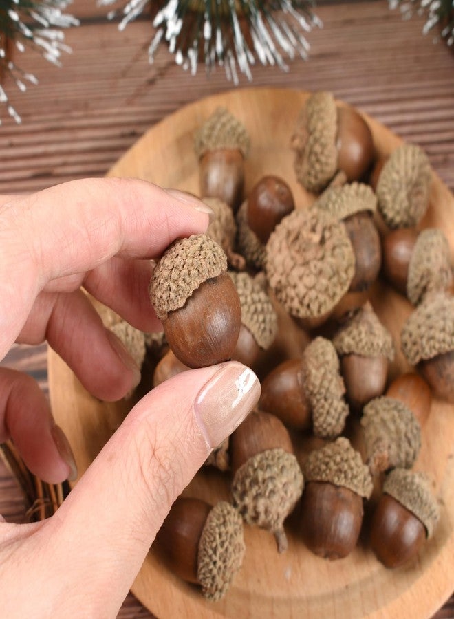Luckforest Artificial Acorns, 30 Pcs Simulation Lifelike Acorn with Natural Caps DIY Craft Acorns for Thanksgiving Day Christmas Wedding Home Decor Photography Props - Image 5