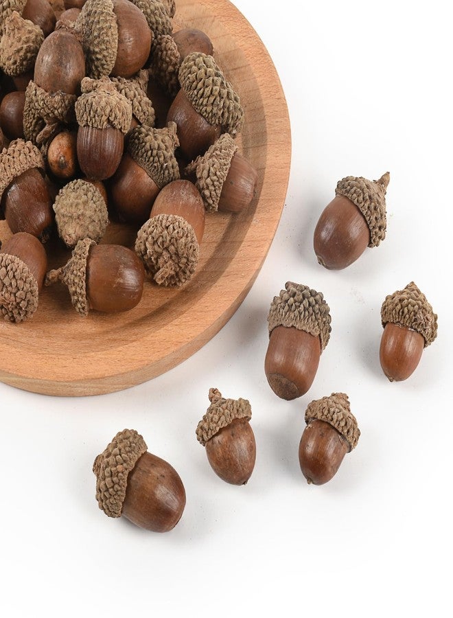 Luckforest Artificial Acorns, 30 Pcs Simulation Lifelike Acorn with Natural Caps DIY Craft Acorns for Thanksgiving Day Christmas Wedding Home Decor Photography Props - Image 1