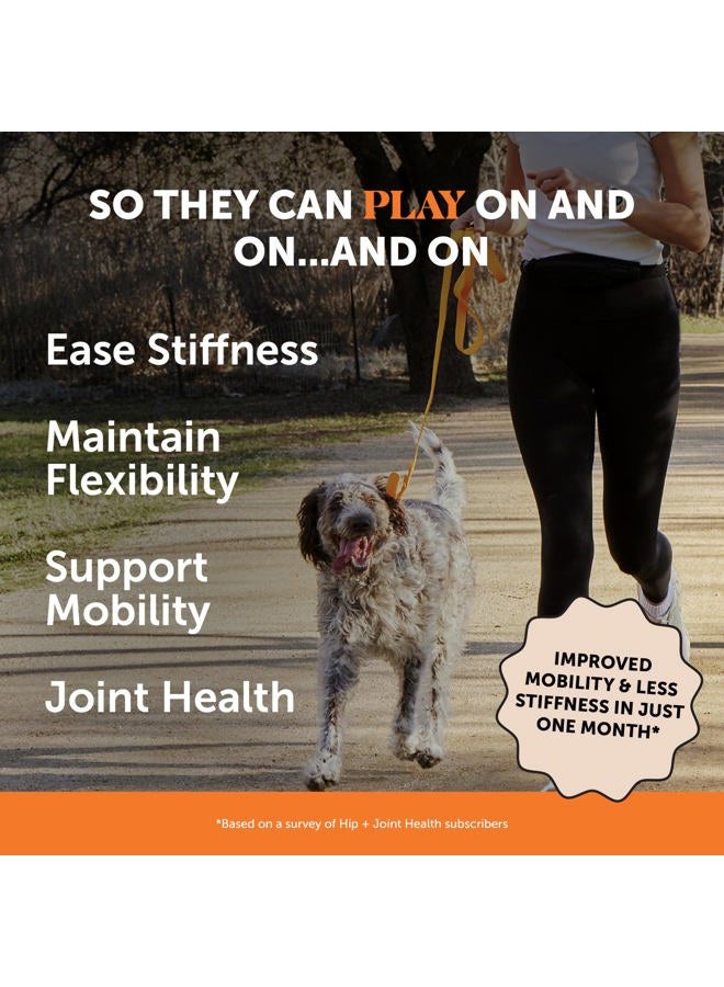 Pet Honesty Glucosamine Chondroitin, MSM, Turmeric - Advanced Hip and Joint Support Supplement for Dogs Chews and Joint Pain Relief - 90 ct - Image 2