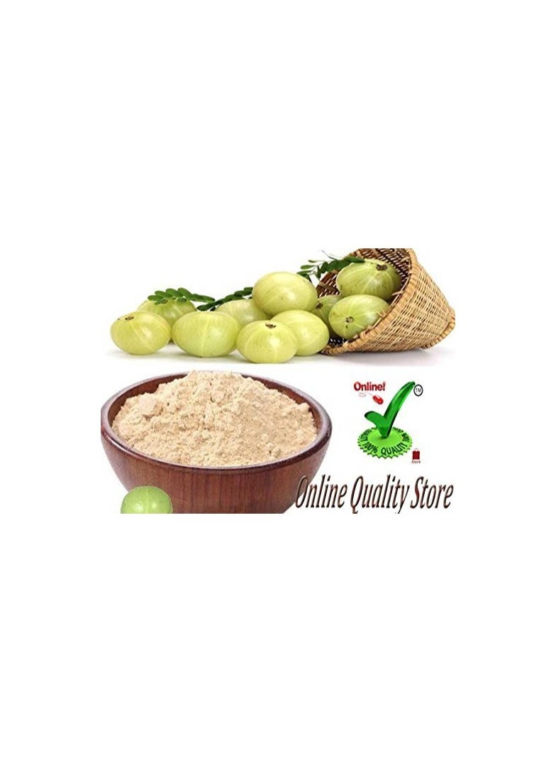 Online Quality Store Online Quality Store Amla Powder Hair, 100g  - Image 1