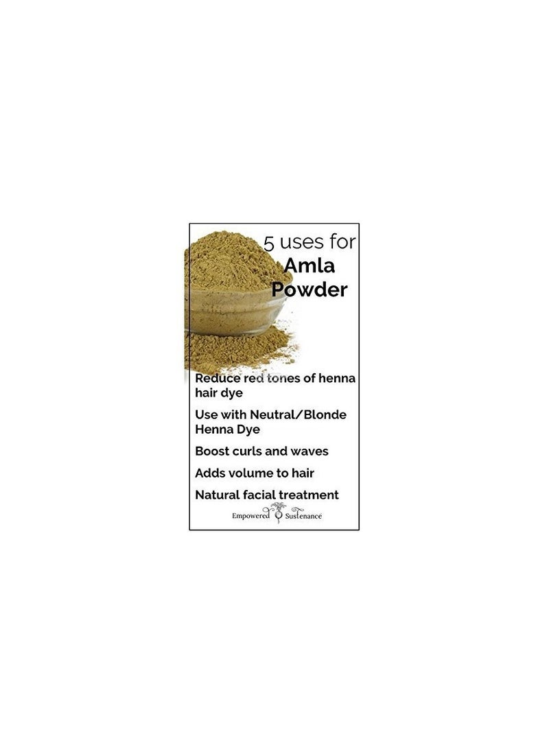 Online Quality Store Online Quality Store Amla Powder Hair, 100g  - Image 4