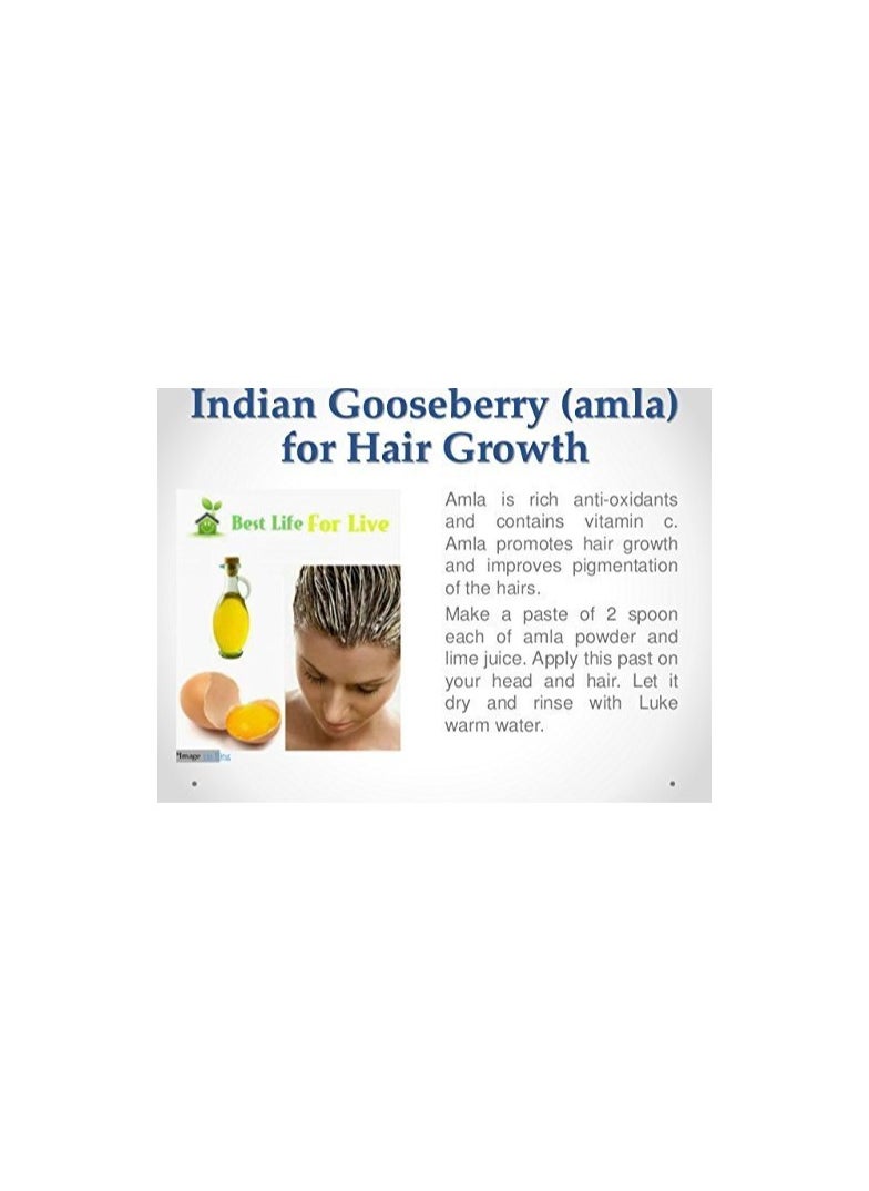 Online Quality Store Online Quality Store Amla Powder Hair, 100g  - Image 2