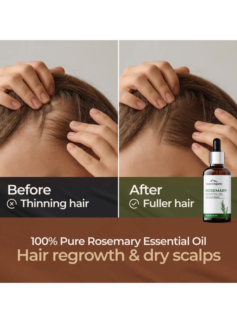 Aravi Organic Rosemary Essential Oil for Hair Growth 15ml - Image 3