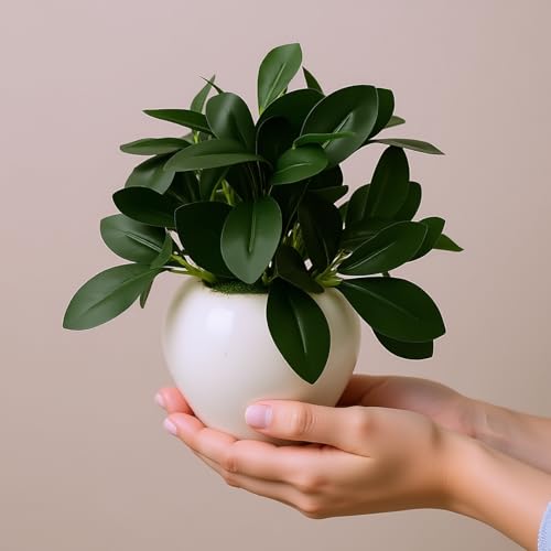 fancymart Artificial Rubber Plant in 4 Inch White Apple Pot (22 cm Height) – Realistic Green Decorative Plant for Home Decor, Living Room, Office Desk & Interior Decoration - Image 5