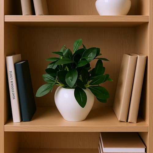 fancymart Artificial Rubber Plant in 4 Inch White Apple Pot (22 cm Height) – Realistic Green Decorative Plant for Home Decor, Living Room, Office Desk & Interior Decoration - Image 2