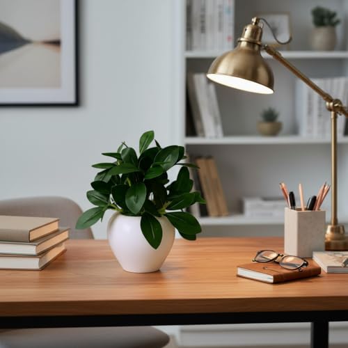 fancymart Artificial Rubber Plant in 4 Inch White Apple Pot (22 cm Height) – Realistic Green Decorative Plant for Home Decor, Living Room, Office Desk & Interior Decoration - Image 3