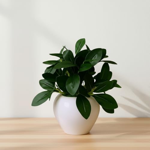 fancymart Artificial Rubber Plant in 4 Inch White Apple Pot (22 cm Height) – Realistic Green Decorative Plant for Home Decor, Living Room, Office Desk & Interior Decoration - Image 1