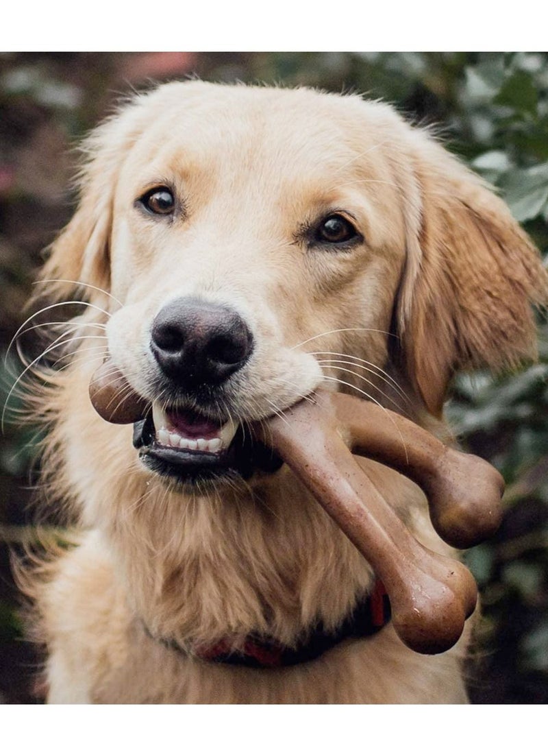 Benebone Wishbone Dog Chew Playing Toy Peanut Small - Image 2