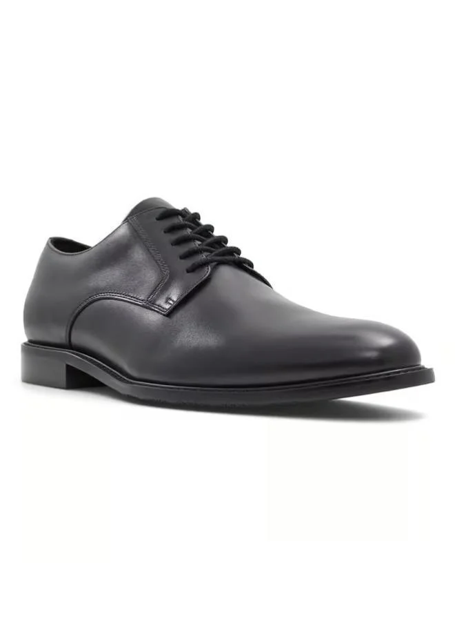 ALDO Casual Lace Ups Shoes